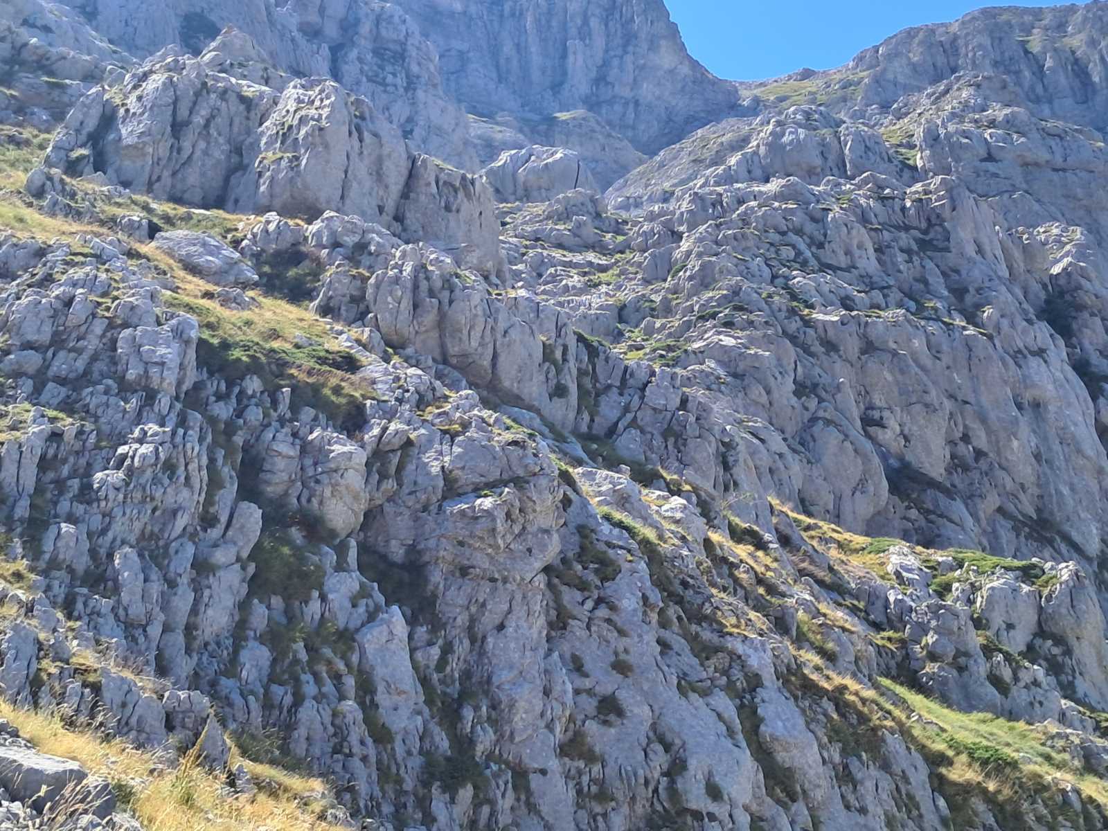 εξοδος